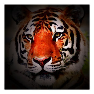 Tijger Gezicht Motiverende Kunst Perfect Poster