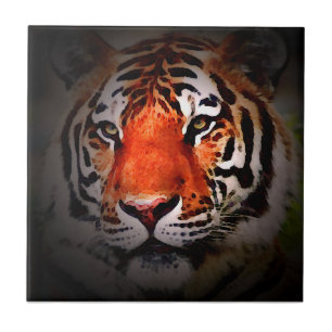 Tijger Gezicht Motiverende Kunst Tegeltje