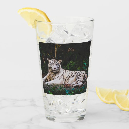 tijger glas (Voorkant ijs)