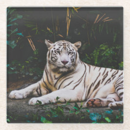 tijger glazen onderzetter