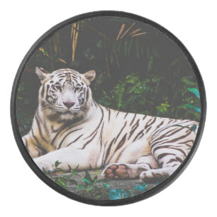 tijger hockey puck
