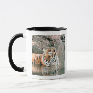 Tijger in beek mok