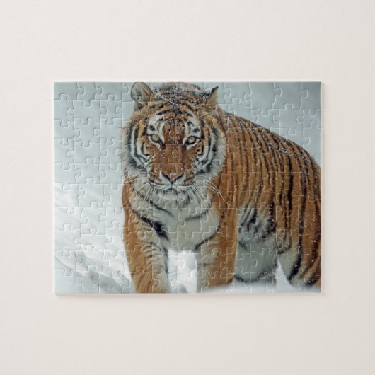 Tijger in de sneeuw legpuzzel (Horizontaal)