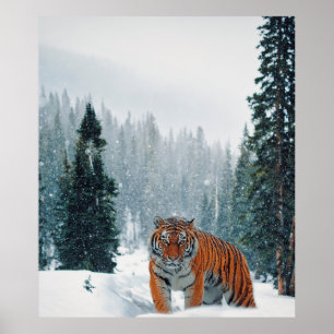 Tijger in de sneeuw poster