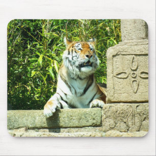Tijger in de tempel muismat