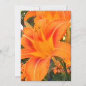 Tijger in de tuin kaart (Voorkant)