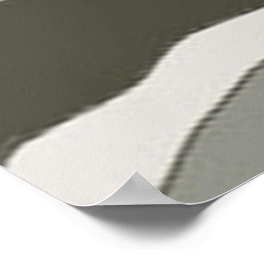 Tijger in een waterval poster (Hoek)