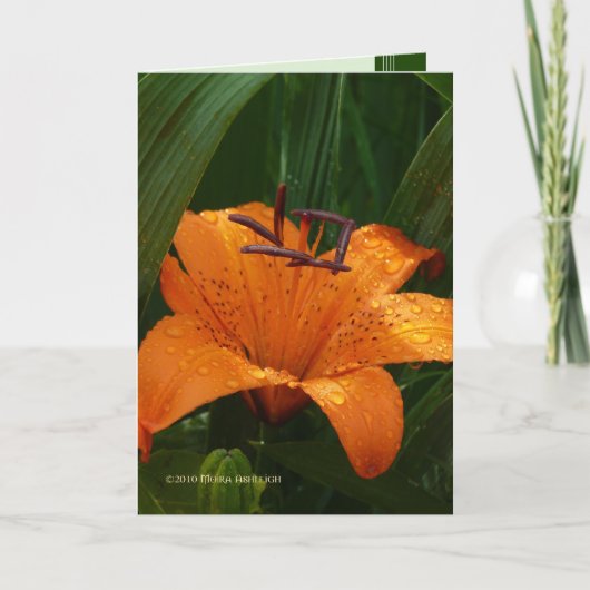 Tijger in Green Kaart (Voorkant)