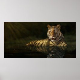 Tijger in het digitale schilderij Water Poster