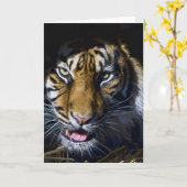 tijger kaart (Gele Bloem)