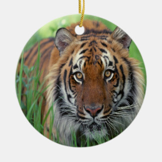 tijger keramisch ornament