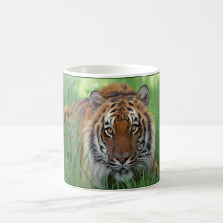 tijger koffiemok