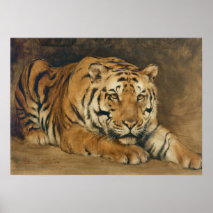 Tijger  Kunst, Muted Neutral  Kunst Poster