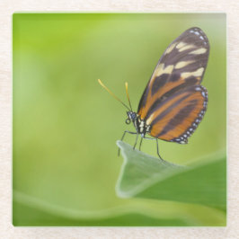 tijger langwerpvlinder glazen onderzetter