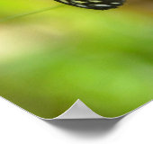 tijger langwerpvlinder poster (Hoek)