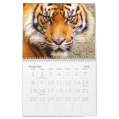 Tijger & Leeuw Expression_2010 Kalender (Feb 2026)