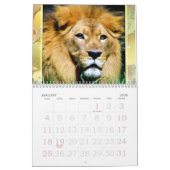 Tijger & Leeuw Expression_2010 Kalender (Jan 2026)