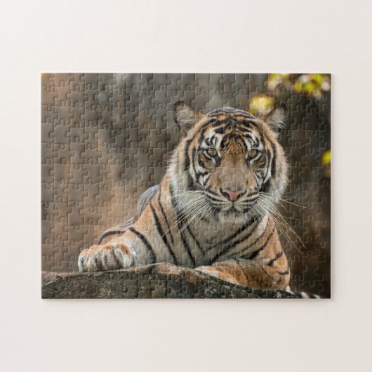 Tijger Legpuzzel (Horizontaal)