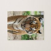 tijger legpuzzel (Horizontaal)