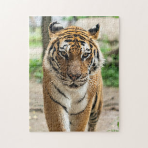 tijger legpuzzel