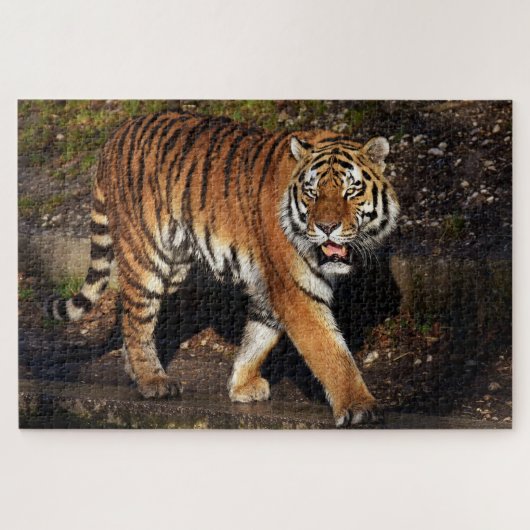 tijger legpuzzel (Horizontaal)