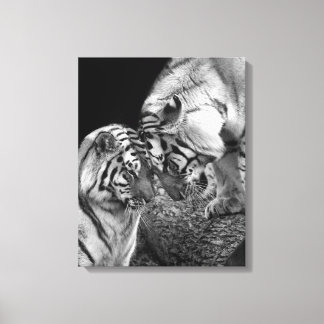 Tijger Liefde Foto op Canvas Wrap