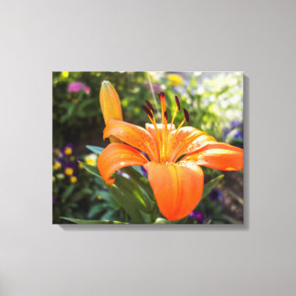 Tijger Lily Canvas Print
