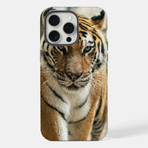 Tijger loopt door het bos iPhone 15 pro max hoesje