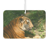 tijger luchtverfrisser (Voorkant)