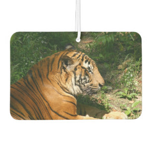 tijger luchtverfrisser