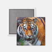 Tijger Magneet (Voorkant / Achterkant)
