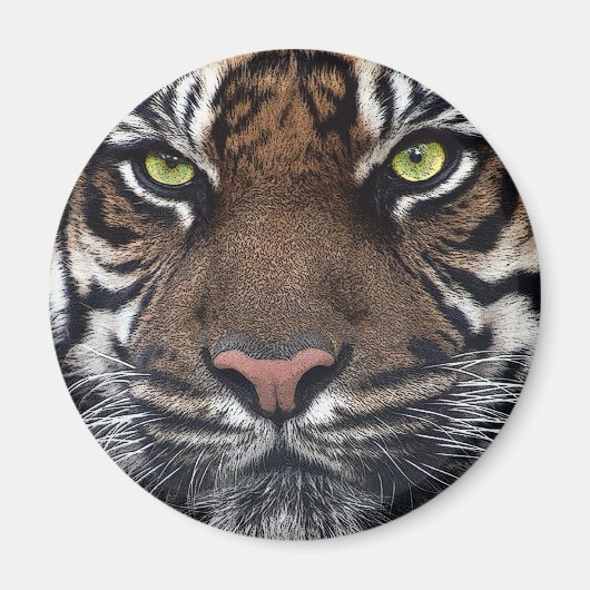 tijger magneet (Voorkant)