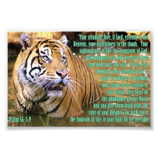 Tijger met psalm 36:5-9 foto afdruk (Voorkant)