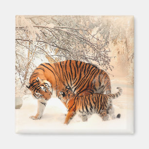 Tijger met sneeuw in wintersneeuw magneet