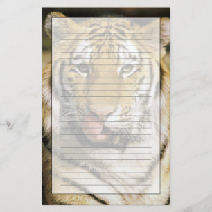 Tijger Michigan Zoo Briefpapier
