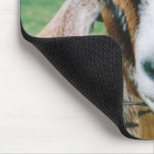 tijger muismat (Hoek)