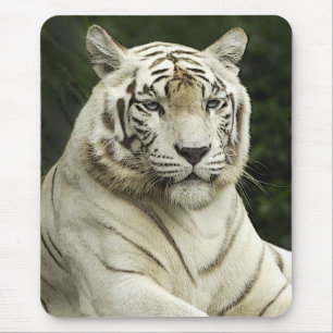 tijger muismat