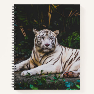 tijger notitieboek