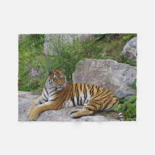 Tijger op een rots fleece deken