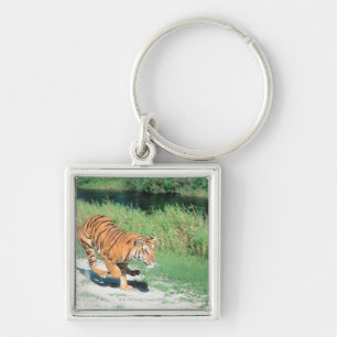 Tijger op pad sleutelhanger