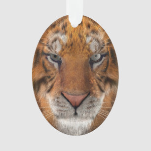 Tijger Ornament