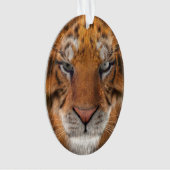 Tijger Ornament (voorkant)