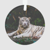 tijger ornament (achterkant)