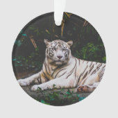 tijger ornament (voorkant)