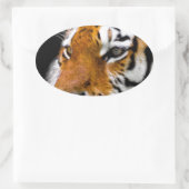 tijger ovale sticker (Tas)