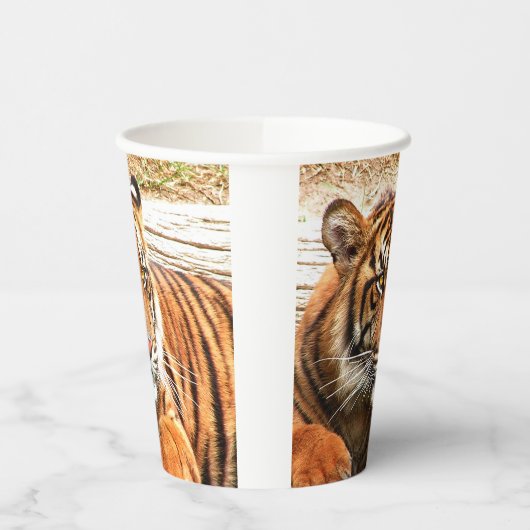 tijger papieren bekers (Links)