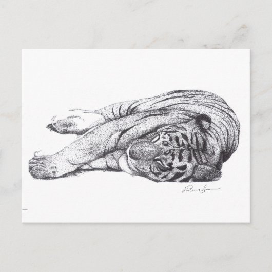 Tijger - Pen en inkt Briefkaart (Voorkant)