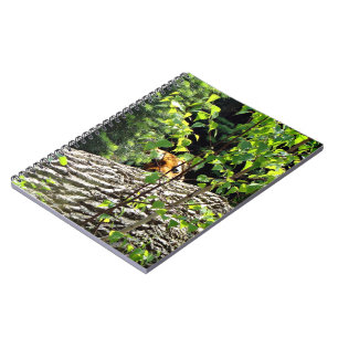 Tijger Piep-eend Notitieboek