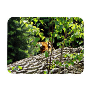 Tijger Piep-uit Flexibele Magneet