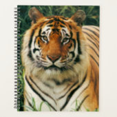 tijger planner (Voorkant)